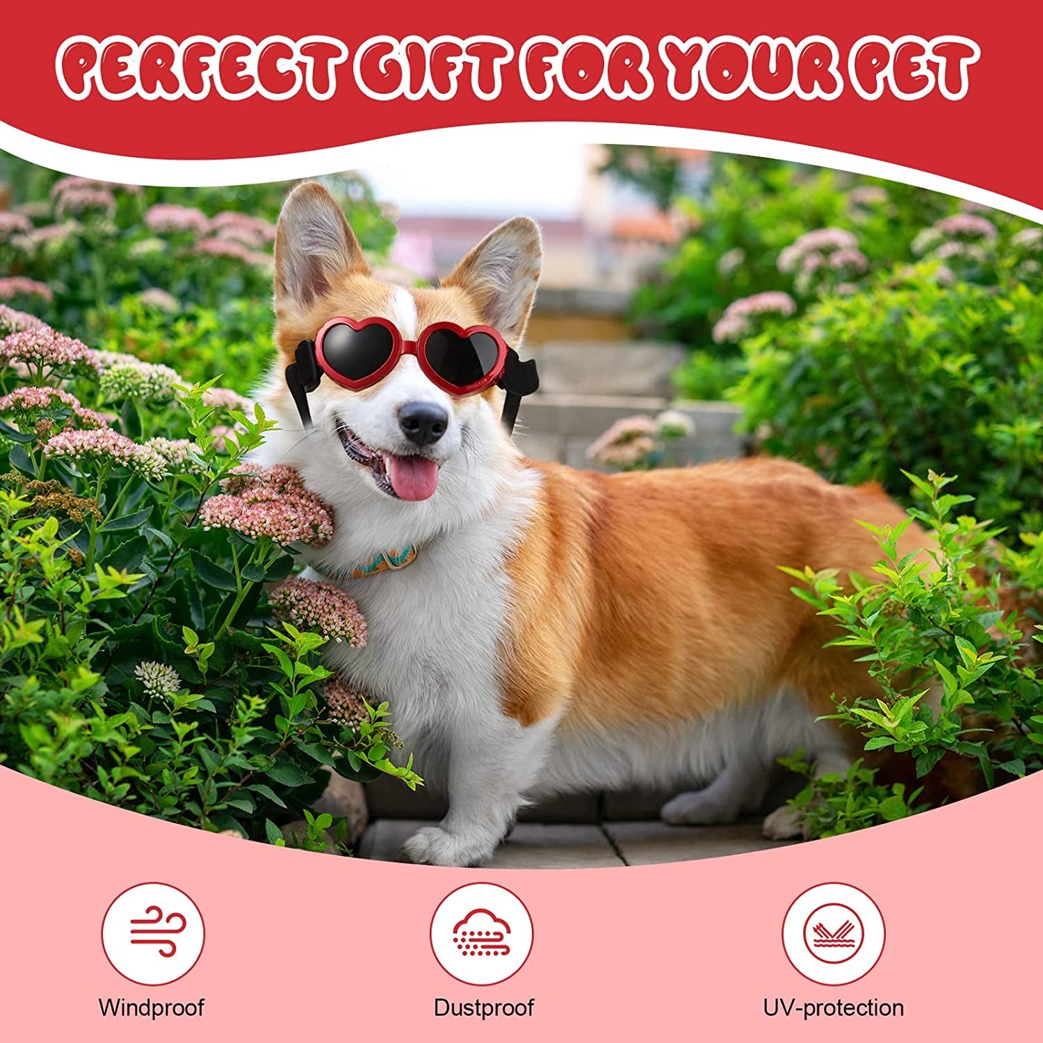 3 Pairs Dog Sunglasses Heart Shape Goggles Small Dog Decorations UV Protection Puppy Eye Wear with Adjustable Strap Windproof Glasses for Doggie PET Sun Glasses Anti-Fog Glasses (Red, White, Pink) Animals & Pet Supplies > Pet Supplies > Dog Supplies > Dog Apparel Nezyo   