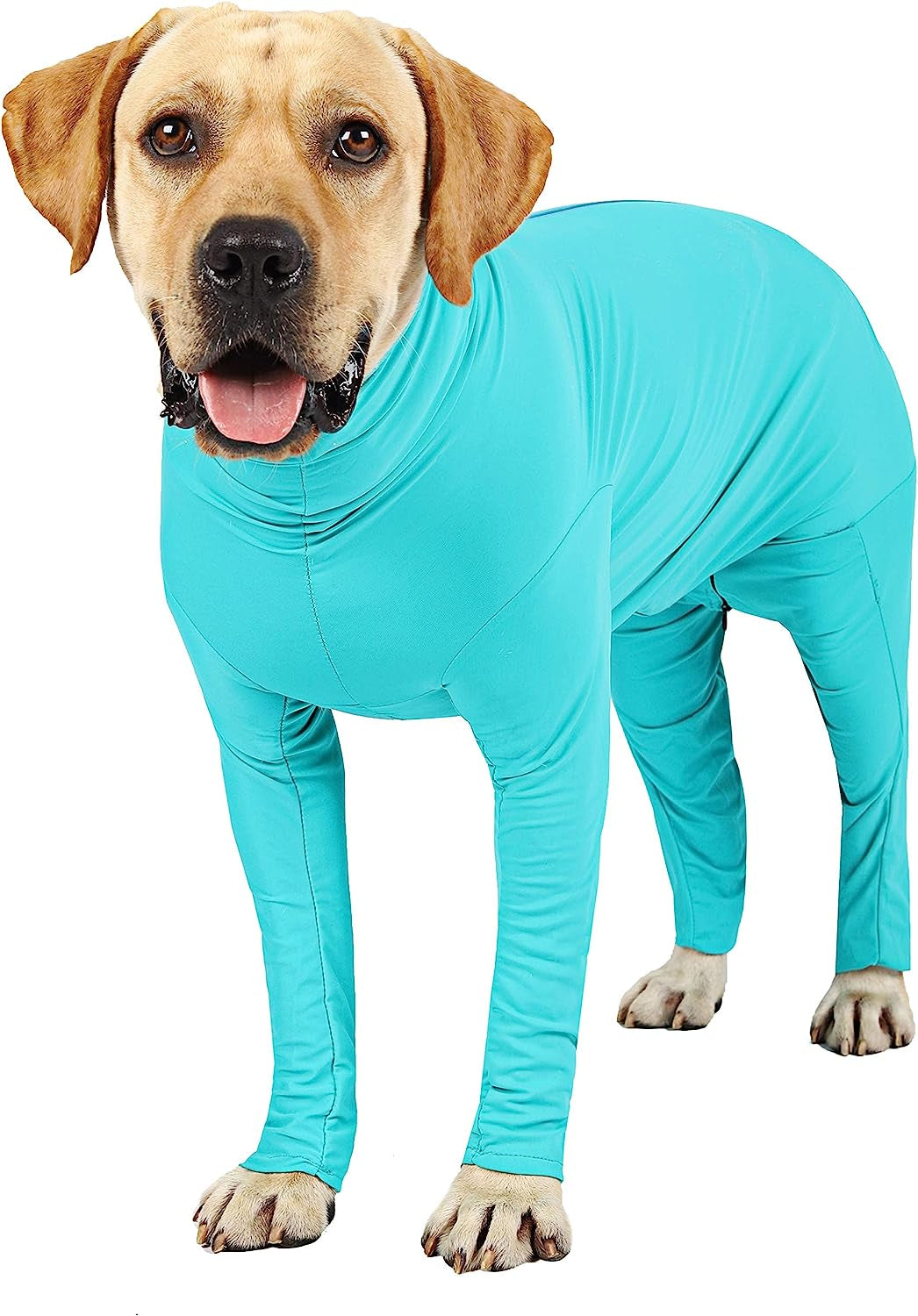 Etdane Dog Onesie for after Surgery Pet Surgical Recovery Suit anti Sh –  KOL PET