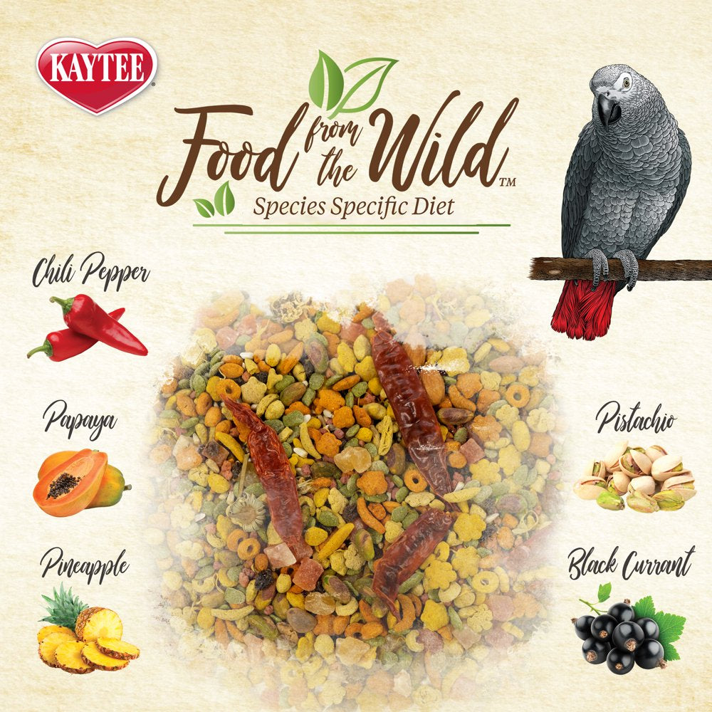 Kaytee Food from the Wild Parrot Pet Bird Food, 2.5 Lb Animals & Pet Supplies > Pet Supplies > Bird Supplies > Bird Food Central Garden and Pet   