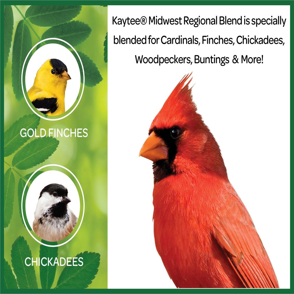 Kaytee Midwest Regional Blend, Wild Bird Feed and Seed, 10 Lbs. Animals & Pet Supplies > Pet Supplies > Bird Supplies > Bird Food CENTRAL GARDEN & PET COMPANY   