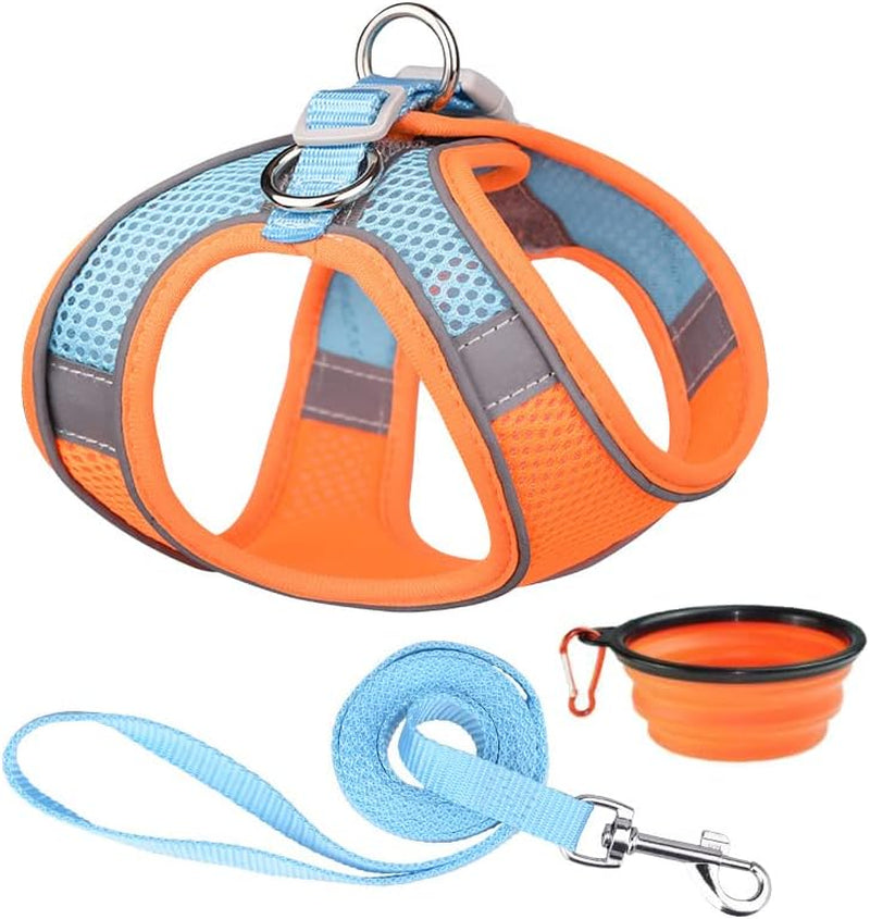 Dog Harness and Leash Set Reflective Pet Puppy Vest Harnesses Adjustable Step in Soft Mesh for Medium Girl Boy Cats Kitten Orange Animals & Pet Supplies > Pet Supplies > Dog Supplies > Dog Apparel Weimostar Orange-Blue XX-Small 