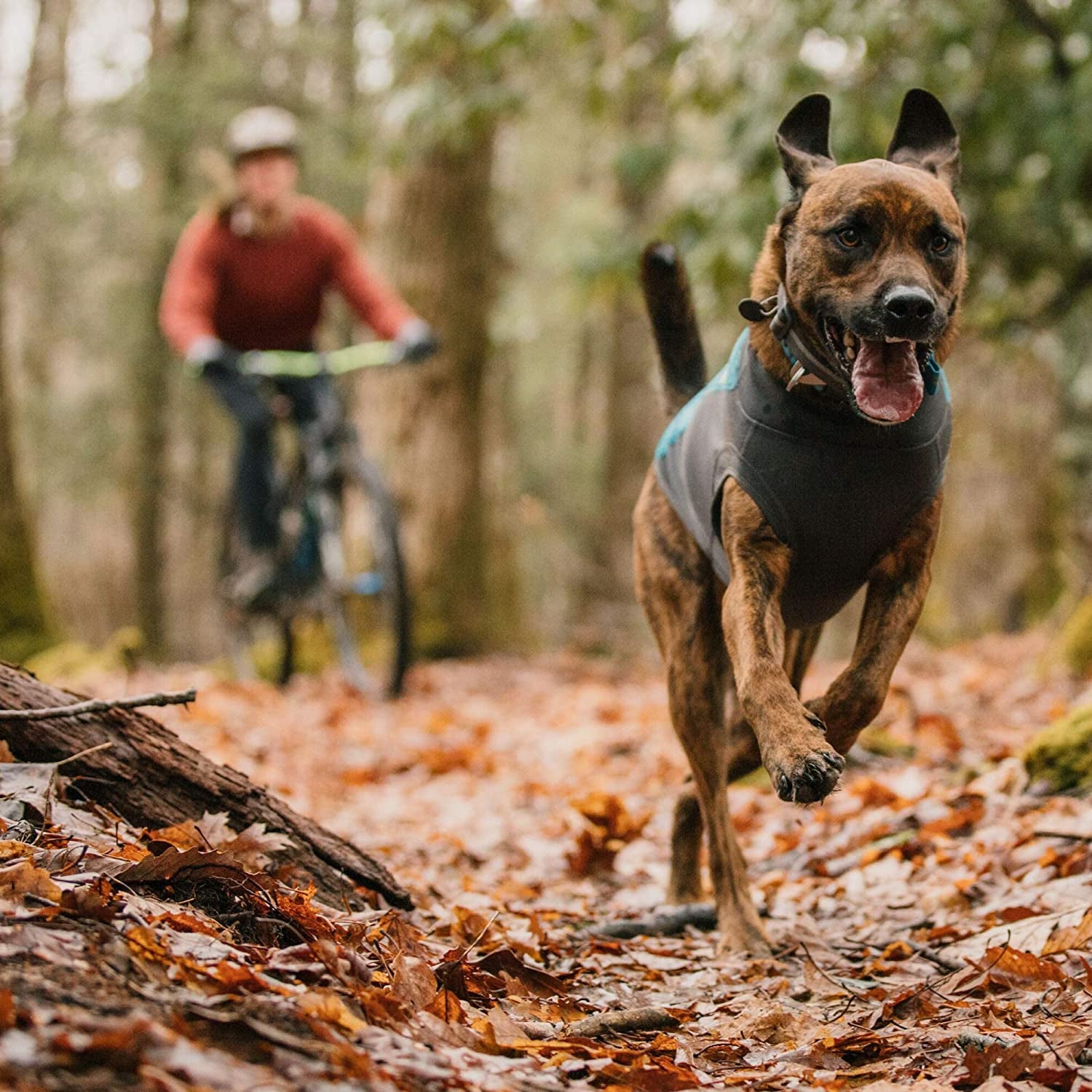 Ruffwear, Climate Changer Pullover Cold Weather Fleece Sweater for Dogs, Glacier, Large Animals & Pet Supplies > Pet Supplies > Dog Supplies > Dog Apparel RUFFWEAR   