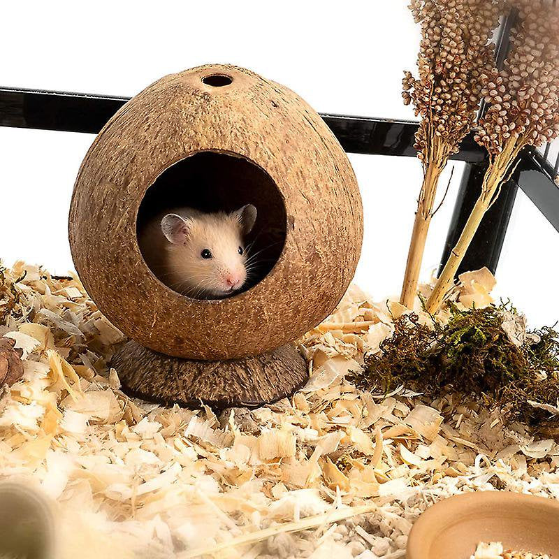 HFDD Hamster House Bed: for Gerbils Mice Small Animal Cage Habitat Dcor(1Pcs, Brown) Animals & Pet Supplies > Pet Supplies > Small Animal Supplies > Small Animal Habitats & Cages HFDD   