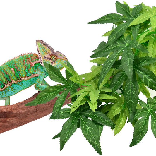 Sunjoy Tech Reptile Plants, Amphibian Hanging Plants with Suction Cup for Lizards, Geckos, Bearded Dragons, Snake, Hermit Crab Tank Pets Habitat Decorations Animals & Pet Supplies > Pet Supplies > Small Animal Supplies > Small Animal Habitat Accessories Sunjoy Tech 30 cm Green 