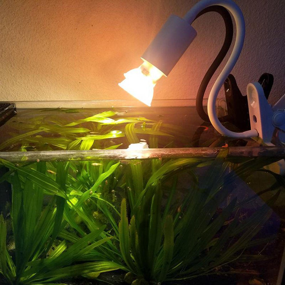 Porcelain Reptile Aquarium Heat Lamp Heating Light W/360 Degree Rotatable Clip Basking B for Aquarium Habitat Bird Turtle Switch Button Animals & Pet Supplies > Pet Supplies > Reptile & Amphibian Supplies > Reptile & Amphibian Habitat Heating & Lighting FITYLE   