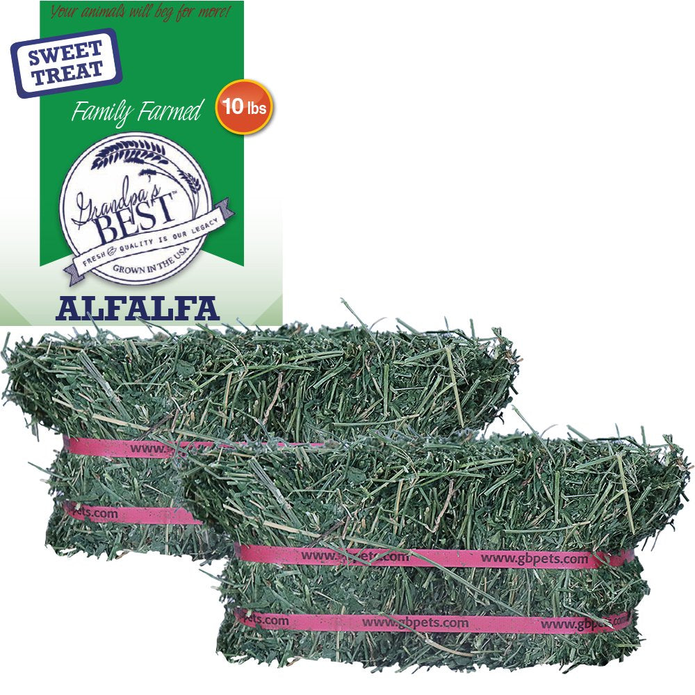 Grandpa'S Best Alfalfa Hay Mini Bale for Small Animals - 10Lb Animals & Pet Supplies > Pet Supplies > Small Animal Supplies > Small Animal Food Grandpa's Best LLC   