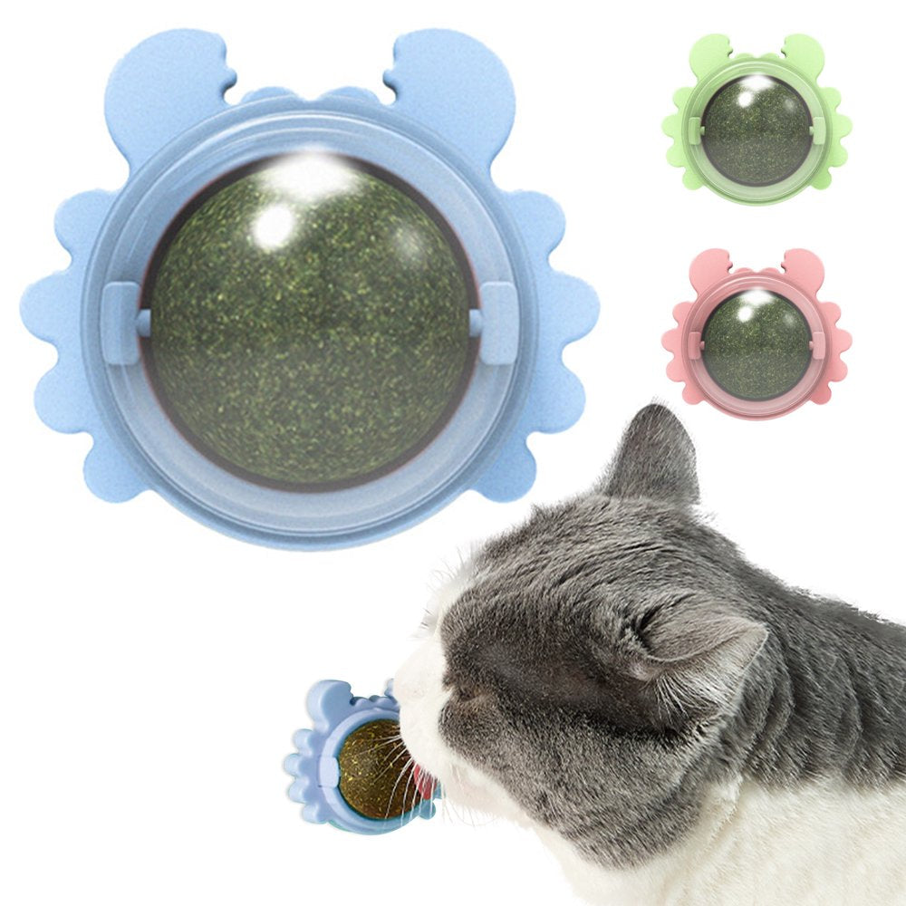 Ptlom Catnip Wall Ball, Detachable Silvervine Catnip Lollipop, Edible Kitty Toys for Cats Lick, Safe Healthy Kitten Chew Toys, Teeth Cleaning Dental Cat Ball Toy for Indoor(4 Pc) Animals & Pet Supplies > Pet Supplies > Cat Supplies > Cat Toys Ptlom 1 Blue 