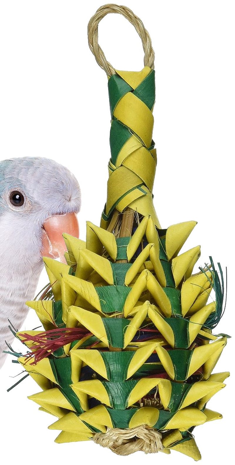 03364 Small Pineapple Foraging Bird Toy Animals & Pet Supplies > Pet Supplies > Bird Supplies > Bird Toys Planet Pleasures   