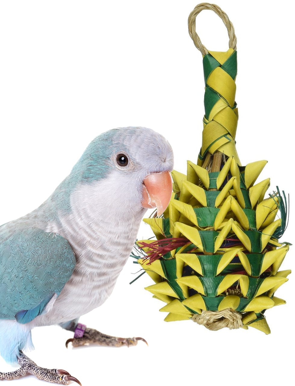 03364 Small Pineapple Foraging Bird Toy Animals & Pet Supplies > Pet Supplies > Bird Supplies > Bird Toys Planet Pleasures   