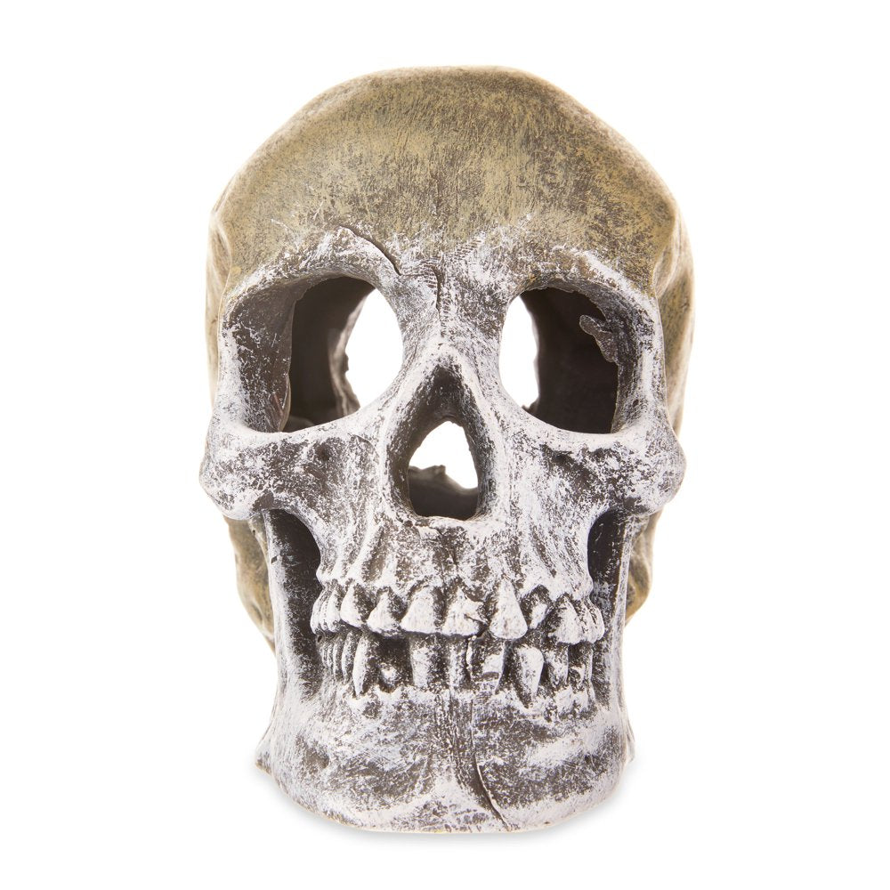 Aqua Culture Human Skull Aquarium Ornament Animals & Pet Supplies > Pet Supplies > Fish Supplies > Aquarium Decor Wal-Mart Stores, Inc.   