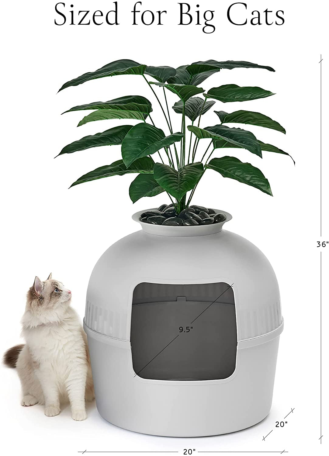 Secret Litter Box by MZDXJ - Hidden Litter Box Enclosure with Odor Control Carbon Filter, Faux Plant and Real Stones, Perfect for Large Cats Animals & Pet Supplies > Pet Supplies > Cat Supplies > Cat Furniture MZDXJ   