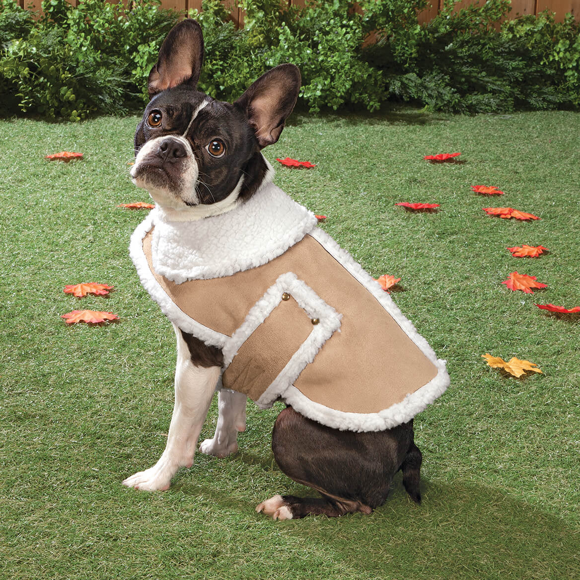 Sherpa Dog Coat Animals & Pet Supplies > Pet Supplies > Dog Supplies > Dog Apparel Carol Wright Gifts   