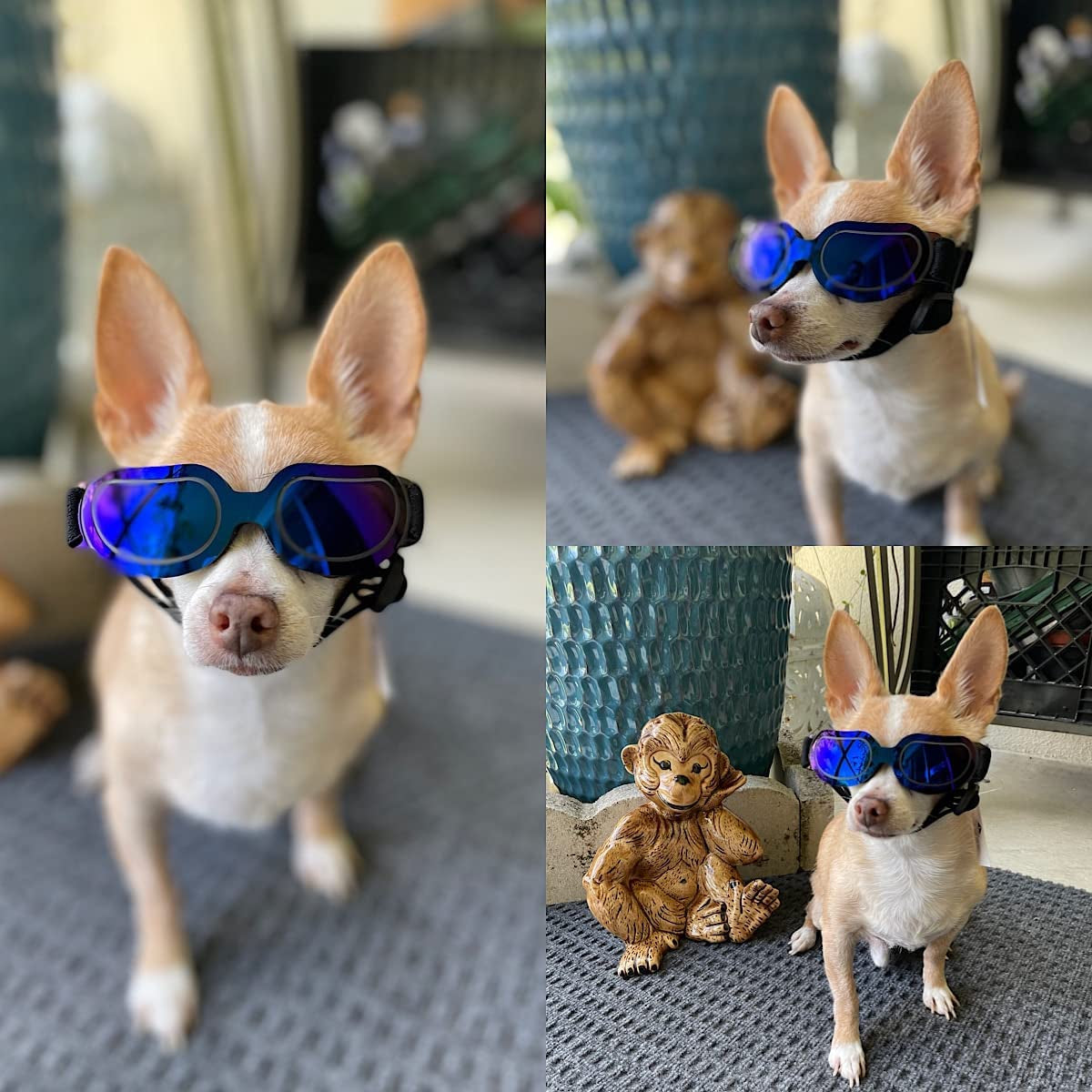 NAMSAN Small Dog Sunglasses UV Protection Adjustable Doggy Goggles Easy Wear Windproof Motorcycle Puppy Glasses (Bright Blue) Animals & Pet Supplies > Pet Supplies > Dog Supplies > Dog Apparel Namsan   