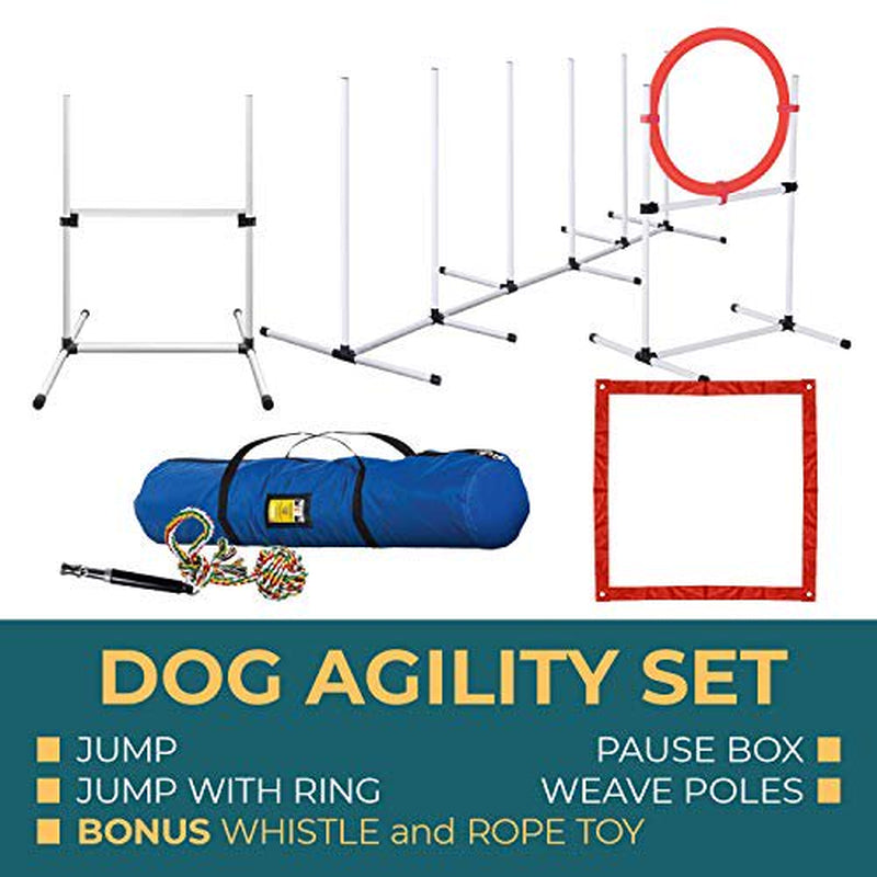 CHEERING PET, Dog Agility Training Equipment, 4 Piece Dog Obstacle Course Includes Dog Jump, Tire Jump, Pause Box and Weave Poles with Carrying Case, Indoor or Outdoor Dog Agility Training Animals & Pet Supplies > Pet Supplies > Dog Supplies > Dog Treadmills Sun Biomass   