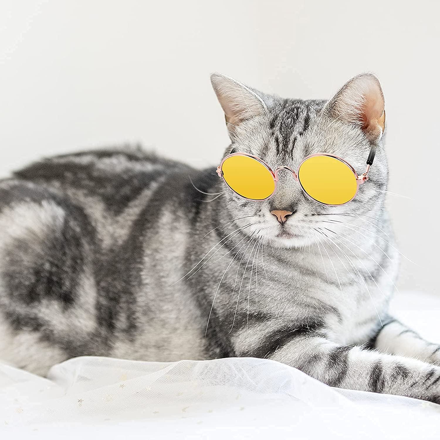 Molain Pet Sunglasses- Cat UV Protection Classic Retro Small Dog Sun Glasses Dolls round Sunglasses Party Cosplay Costume Photo Props Cute Funny Sunglasses (4Pcs) Animals & Pet Supplies > Pet Supplies > Dog Supplies > Dog Apparel Molain   