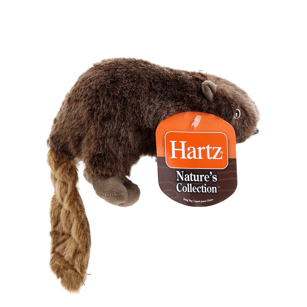 Hartz Nature'S Collection Animals Plush Dog Toys, Large (Style May Vary) Animals & Pet Supplies > Pet Supplies > Dog Supplies > Dog Toys Hartz Mountain Corp   