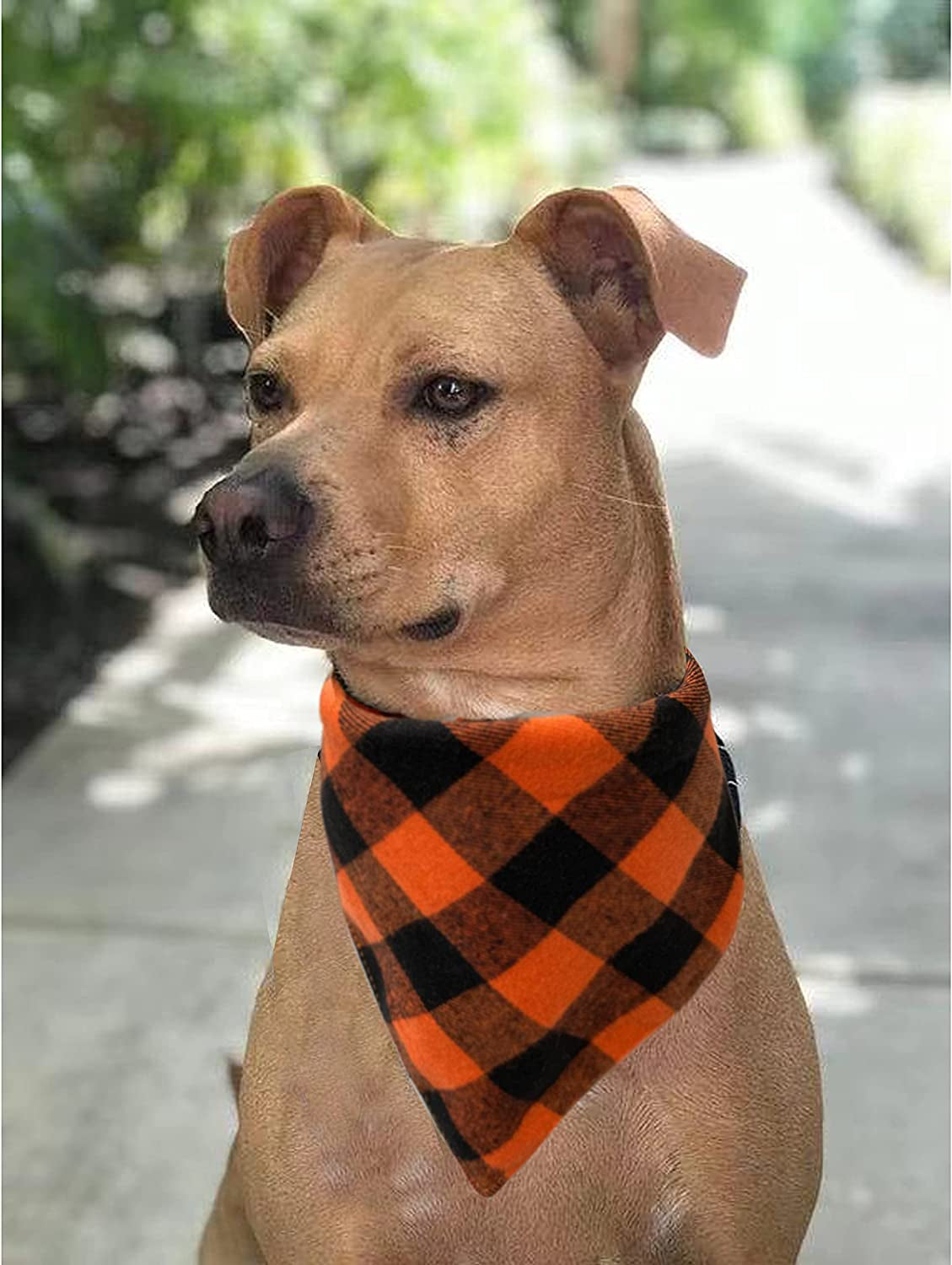 Realeaf Fall Dog Bandanas 2 Pack, Halloween Thanksgiving Dog Bandana, Orange Plaid Pet Scarf for Boy and Girl, Premium Durable Fabric, Holiday Bandana for Medium and Large Dogs (Large) Animals & Pet Supplies > Pet Supplies > Dog Supplies > Dog Apparel Realeaf   