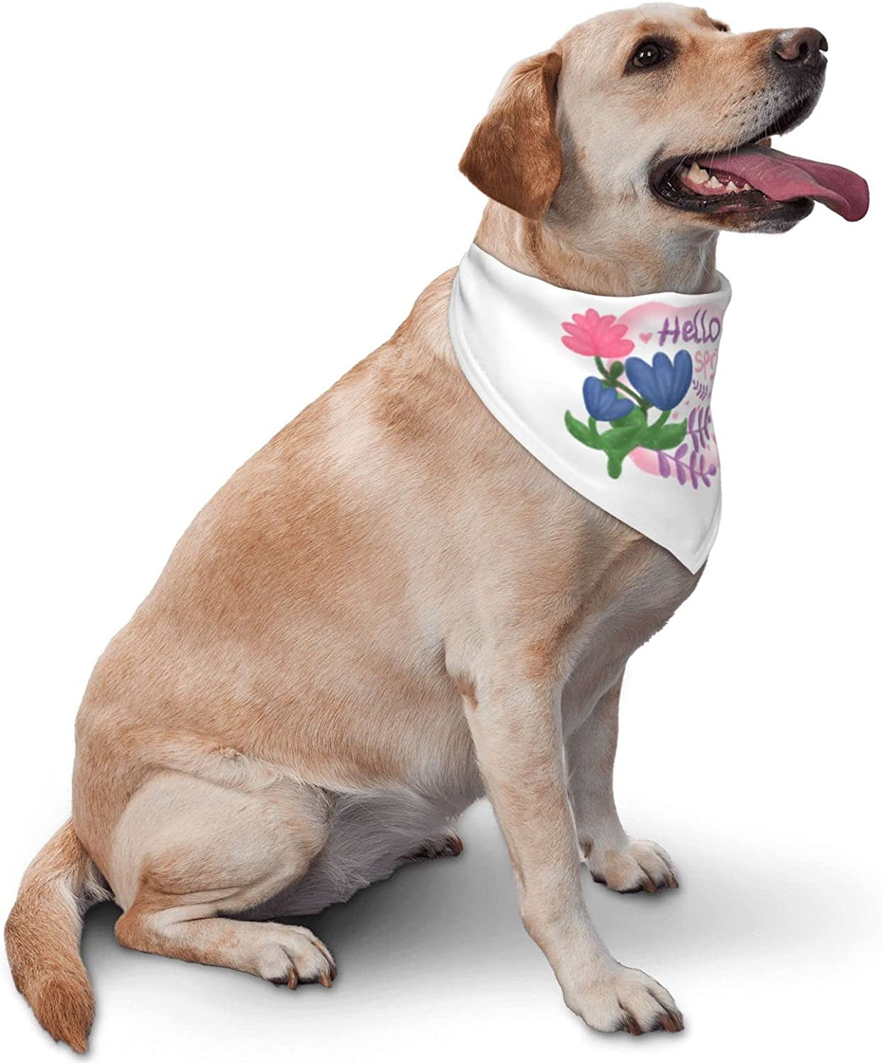 Floral Labels Hello Spring Blue Pet Dog and Cat Decorative Triangle Scarf,Dog Bandana,Breathable and Stain Resistant. Animals & Pet Supplies > Pet Supplies > Dog Supplies > Dog Apparel ZALTAS   