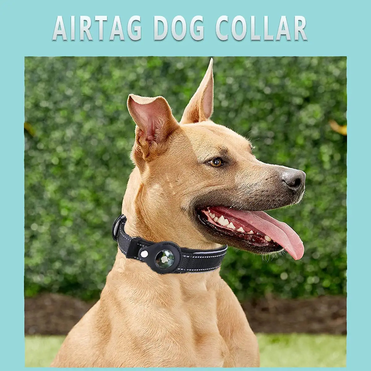 Airtag Dog Collar, Reflective Apple Air Tag Heavy Duty Collar with Holder Case, Adjustable Accessories Pet for Medium Large Dogs (M(15.5Inch ~ 17.7Inch), Black) (STECH101)