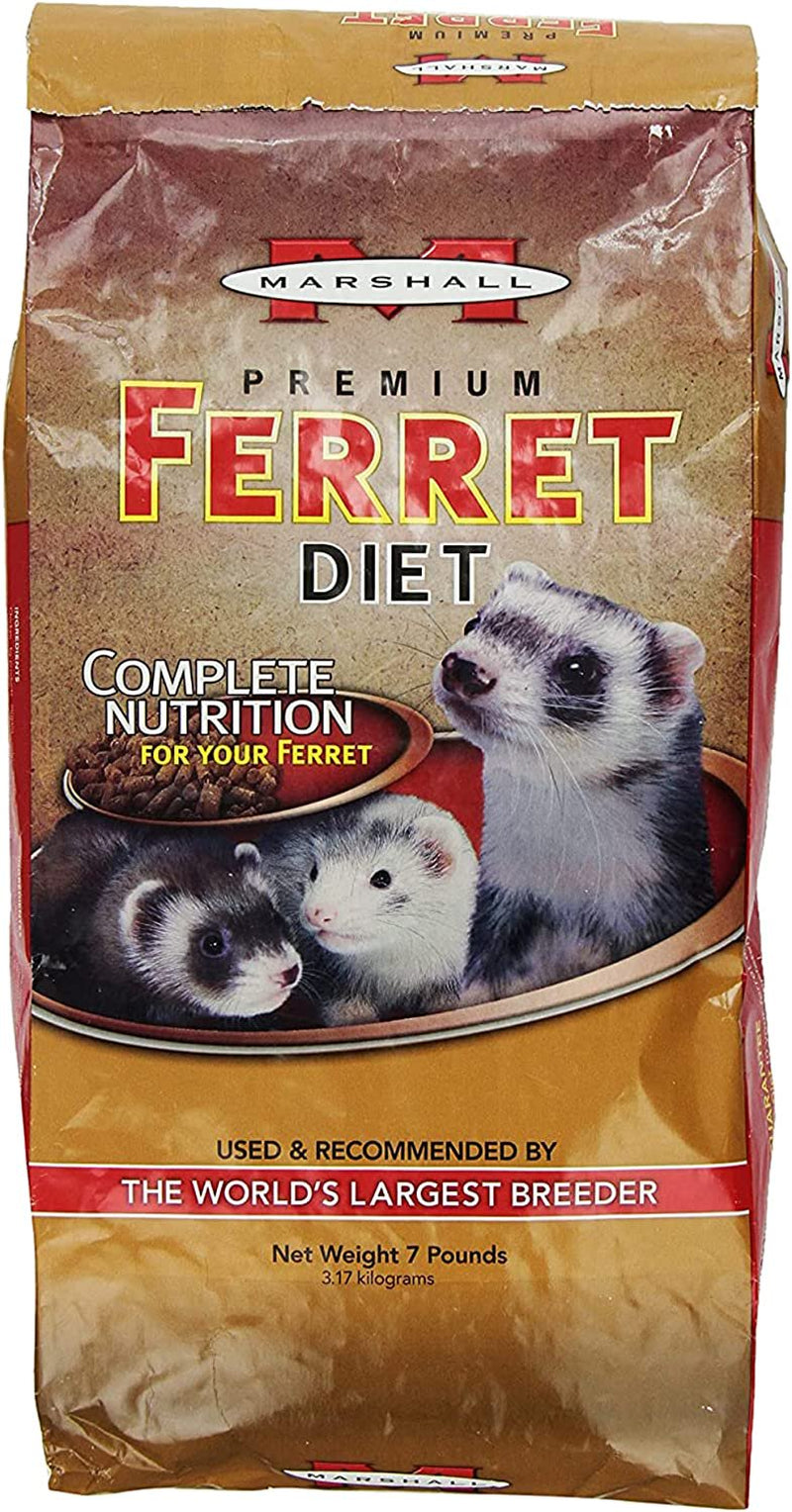 Marshall Pet Products Natural Complete Nutrition Premium Ferret Diet Food with Real Chicken Protein, Highly Digestible, 4 Lbs Animals & Pet Supplies > Pet Supplies > Small Animal Supplies > Small Animal Food Marshall Pet Products 7 Pound (Pack of 1)  