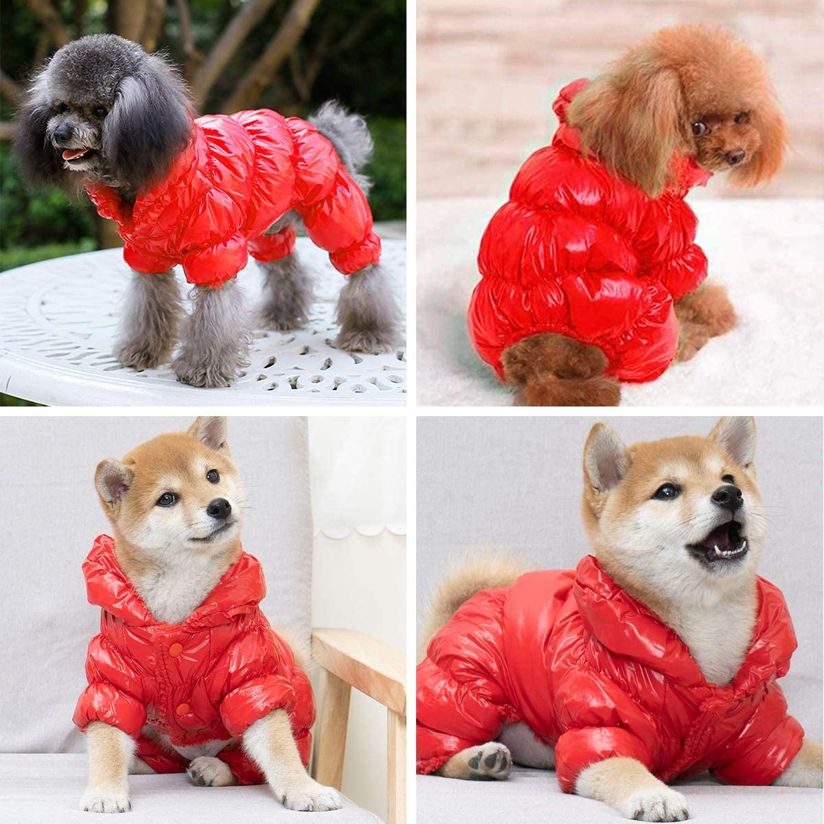 Dog Snowsuit for Small Dogs, Dog Winter Jacket Dog Winter Coat Windproof Dog Cold Weather Coats for Small Dogs Puppy Warm Fleece Lining Dog Coat Clothes Animals & Pet Supplies > Pet Supplies > Dog Supplies > Dog Apparel Mojonnie   