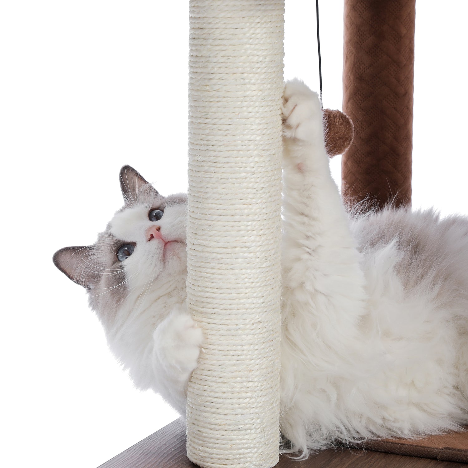 PAWZ Road 56" Wooden Cat Tree Tower with Large Storage Box for Indoor Cats,Brown Animals & Pet Supplies > Pet Supplies > Cat Supplies > Cat Furniture Wal02-AMT0167BN   
