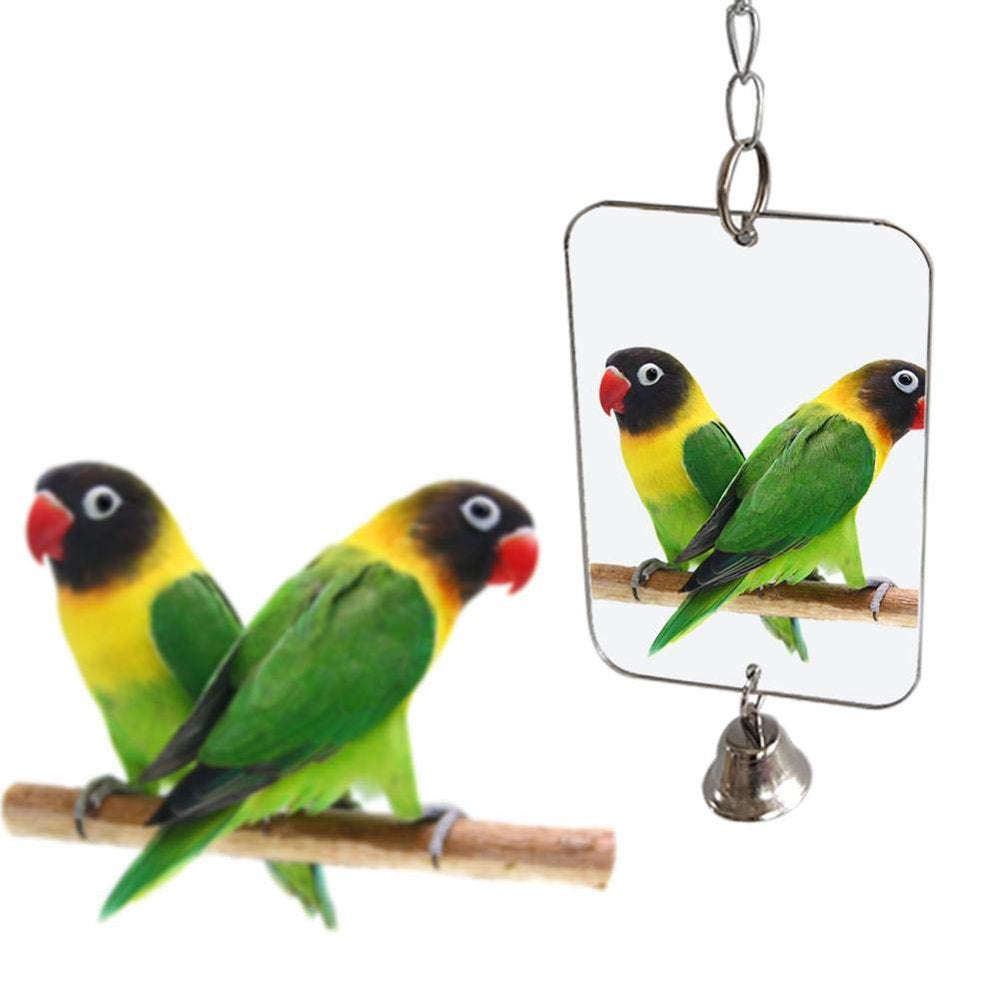 Besufy Pet Bird Toy Parrot Bird Parakeet Hanging Mirror Bell Play Toy Cage Decoration Supplies Animals & Pet Supplies > Pet Supplies > Bird Supplies > Bird Toys Besufy 8x12cm Silver 