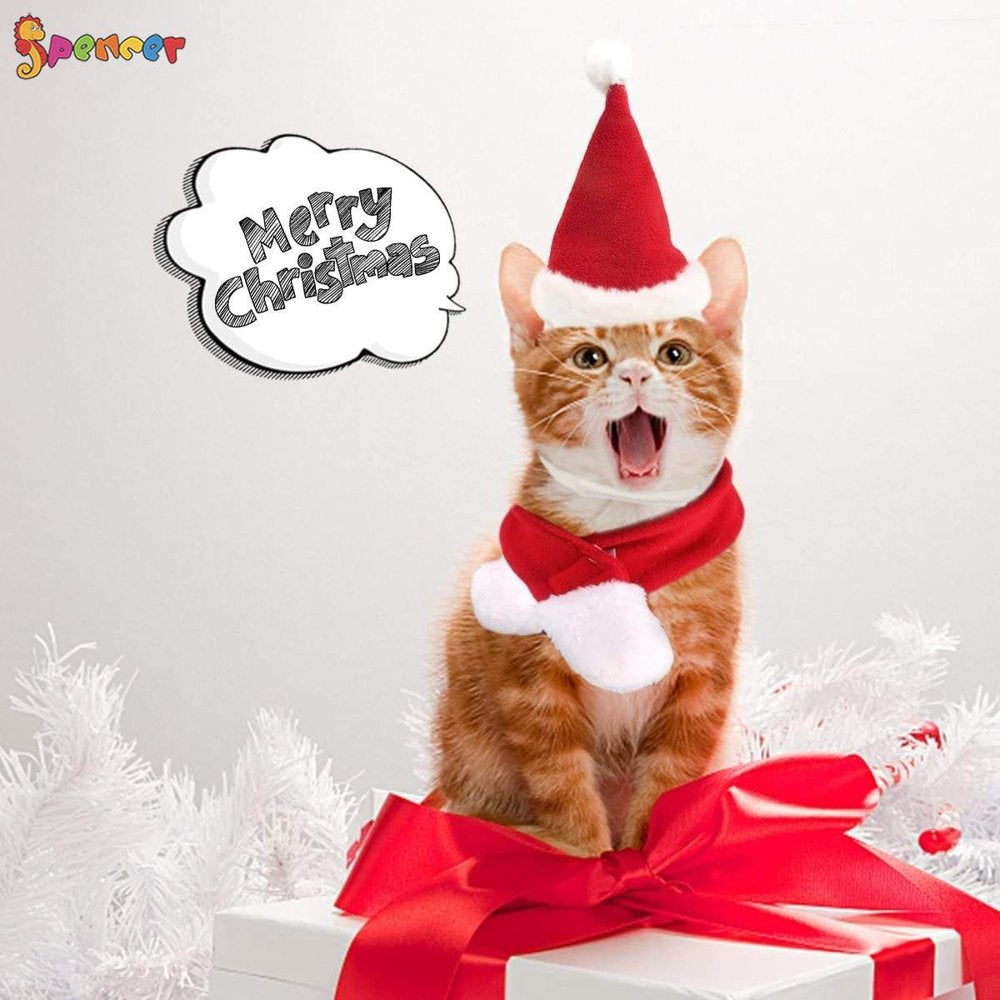 Spencer 2Pcs Pet Dog Cat Santa Hat & Red Scarf Set Christmas Outfit Pe –  KOL PET