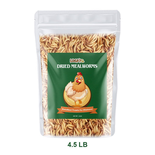 LUCKYQ Dried Mealworms 4.5Lb,High-Protein Bulk Mealworms for Birds, Chickens, Turtles, Fish, Hamsters, and Hedgehogs, Non-Gmo and Chemical Free, All Natural Animal Feed