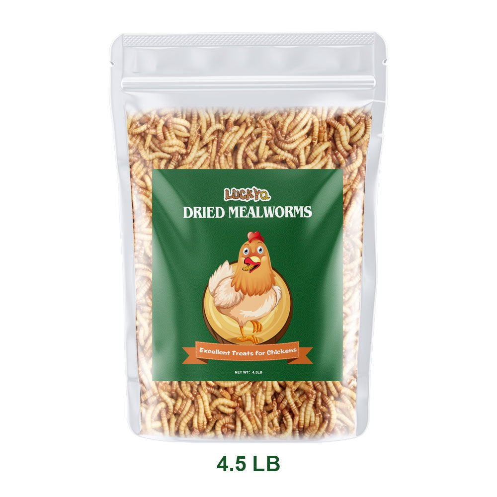LUCKYQ Dried Mealworms 4.5Lb,High-Protein Bulk Mealworms for Birds, Chickens, Turtles, Fish, Hamsters, and Hedgehogs, Non-Gmo and Chemical Free, All Natural Animal Feed Animals & Pet Supplies > Pet Supplies > Small Animal Supplies > Small Animal Food LUCKYQ   
