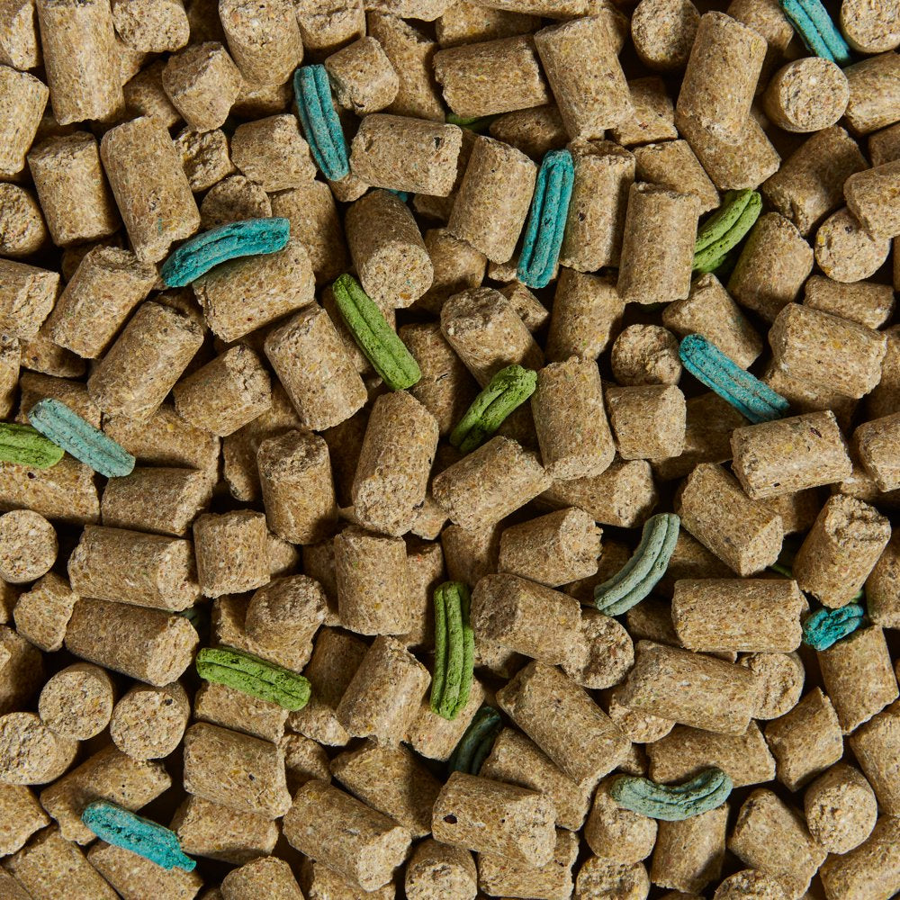 Kaytee Pro Health Mouse, Rat, and Hamster Food 5 Lb Animals & Pet Supplies > Pet Supplies > Small Animal Supplies > Small Animal Food Central Garden and Pet   