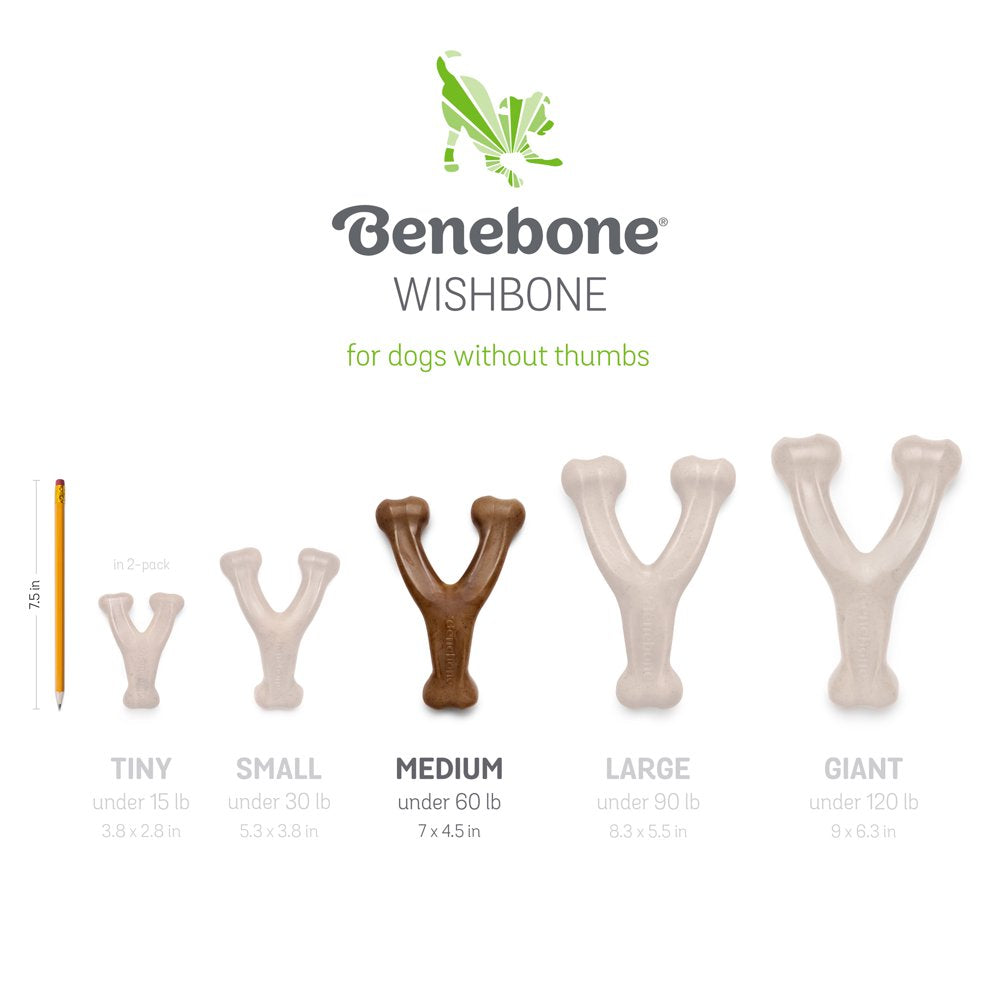 Benebone Real Bacon Durable Wishbone Dog Chew Toy, Medium Animals & Pet Supplies > Pet Supplies > Dog Supplies > Dog Toys Benebone   