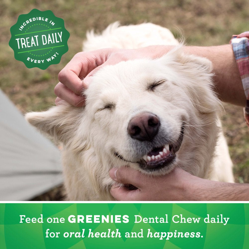 GREENIES Original Regular Size Natural Dental Dog Treats, 12 Oz. Pack (12 Treats)