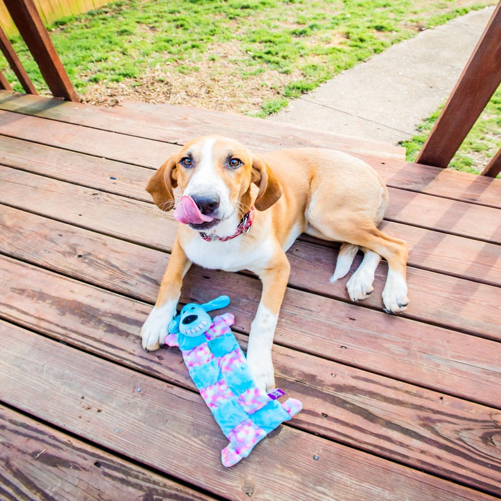 Multipet Smiling Loofa Dog Squeaker Mat Dog Toy, 12 Inches Long, Contains 13 Squeakers, Swirl Pattern Animals & Pet Supplies > Pet Supplies > Dog Supplies > Dog Toys Multipet International   