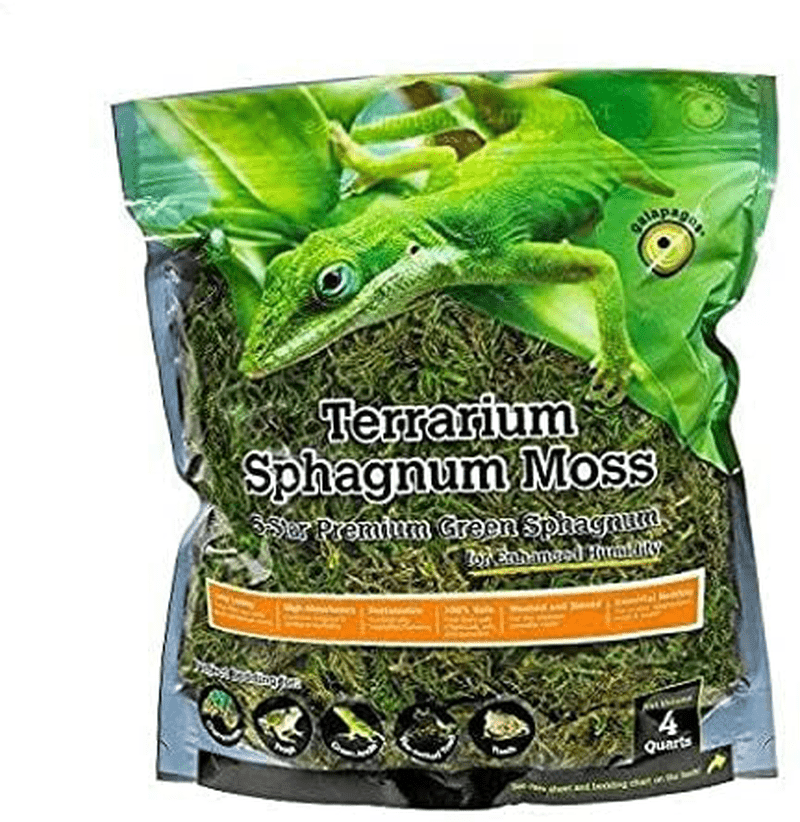 (05213) Terrarium Sphagnum Moss, 5-Star Green Sphagnum, Natural, 4QT (Packaging May Vary) Animals & Pet Supplies > Pet Supplies > Reptile & Amphibian Supplies > Reptile & Amphibian Habitat Accessories Galapagos 2 Package  