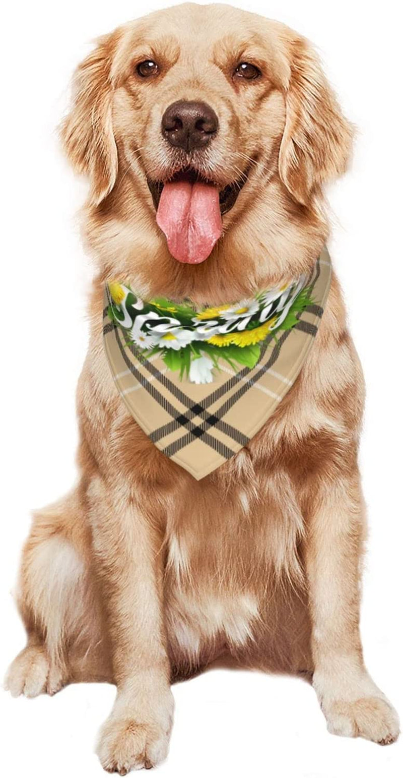 Hello Spring Floral Season Border Pet Dog and Cat Decorative Triangle Scarf,Dog Bandana,Breathable and Stain Resistant. Animals & Pet Supplies > Pet Supplies > Dog Supplies > Dog Apparel ZALTAS   