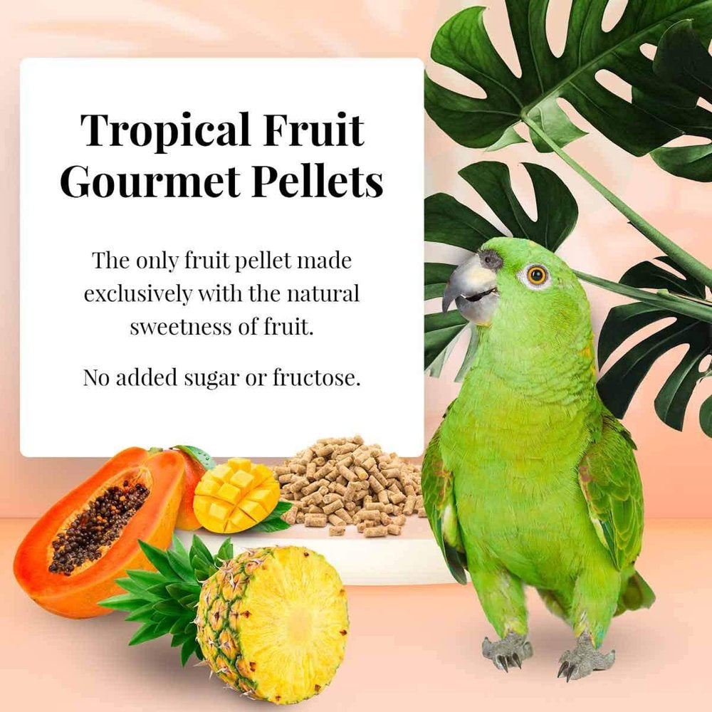 LAFEBER'S Premium Tropical Fruit Pellets Pet Bird Food, Made with Non-Gmo and Human-Grade Ingredients, for Parrots, 4 Lbs