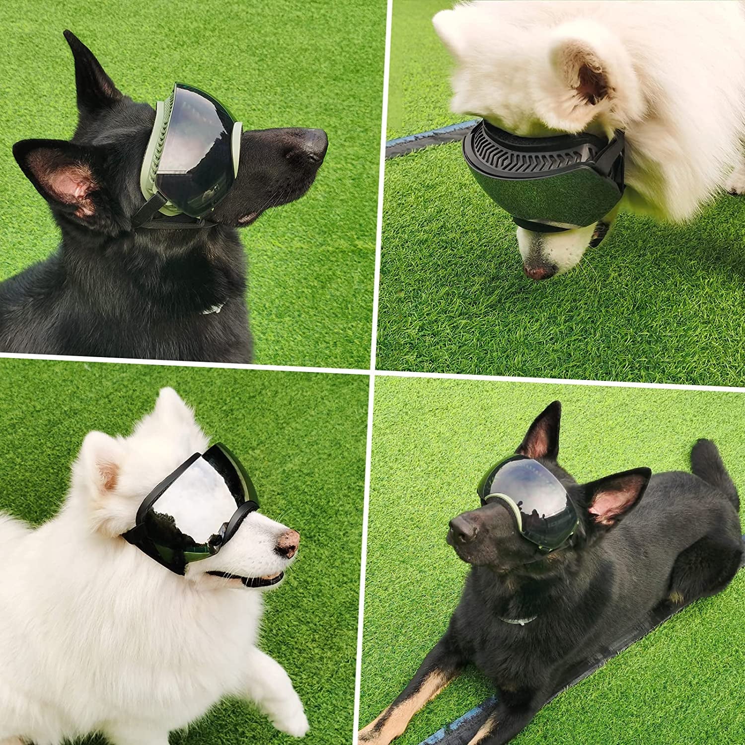 PETLESO Dog Goggles Large Breed, Dog Sunglasses Large Breed UV Protection Large Dog Goggles with Detachable Lens, Green Frame Black Lens Animals & Pet Supplies > Pet Supplies > Dog Supplies > Dog Apparel PETLESO   