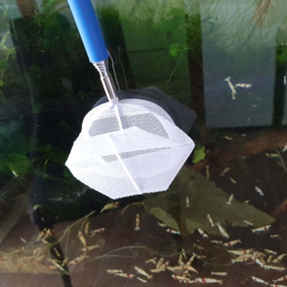 Retractable 3D Round/Square Fishing Net Stainless Steel Rod Aquarium Small Fish Catching Net Random Color Animals & Pet Supplies > Pet Supplies > Fish Supplies > Aquarium Fish Nets Hi.FANCY   