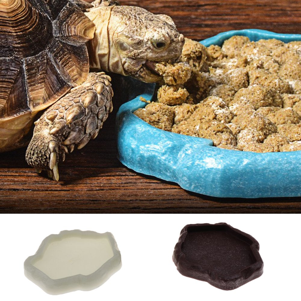 Pet Vivarium Tortoise Gecko Reptile Feeding Bowl Dish Feader Animals & Pet Supplies > Pet Supplies > Reptile & Amphibian Supplies > Reptile & Amphibian Food Gazechimp   