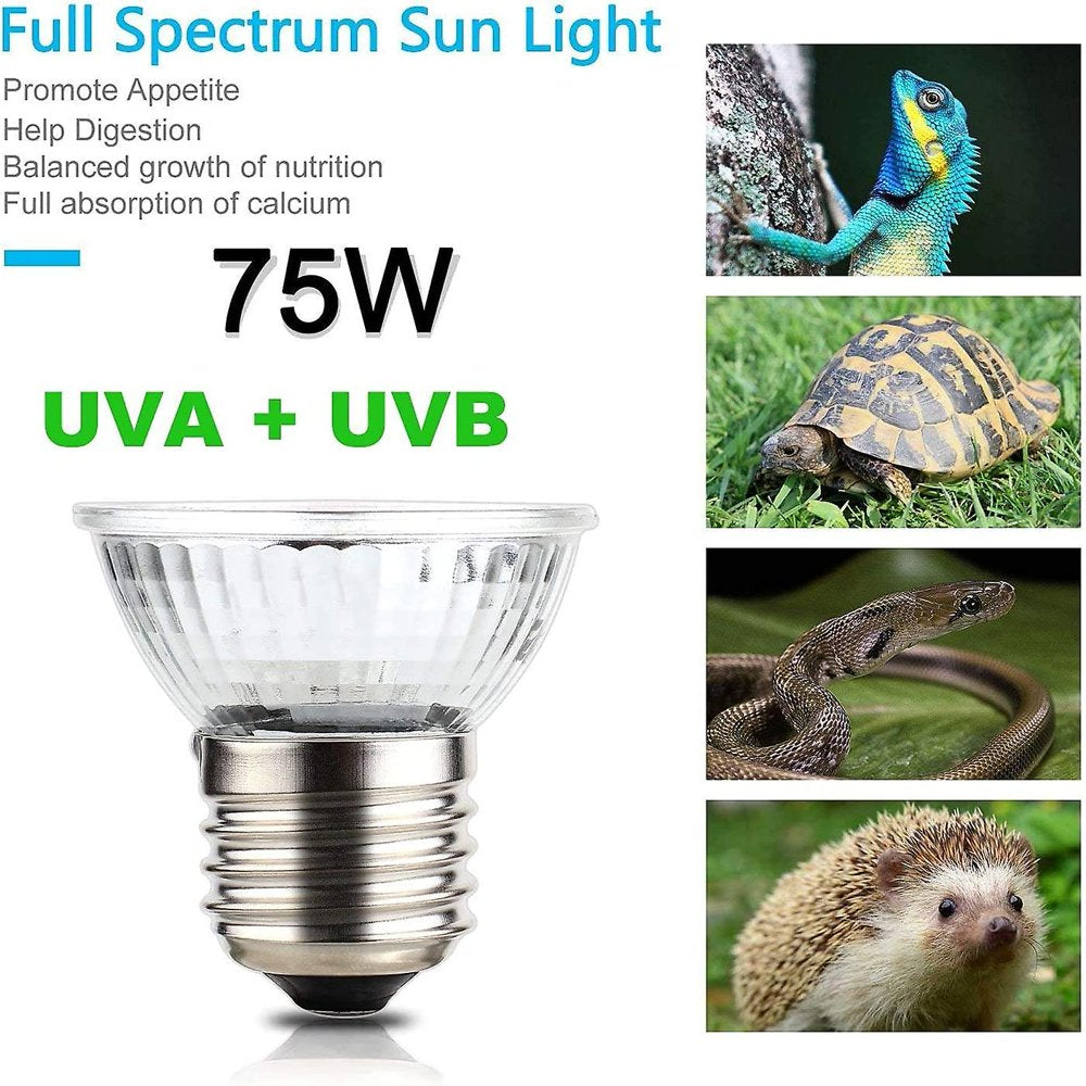 Ninebecj 6 Pack 75W Uva+Uvb Full Spectrum Solar Lamp Sunbathing/Bulb/Light for Bearded Lizard Dragon Chameleon Snake Turtle Aquarium Reptiles & Amphibian Animals & Pet Supplies > Pet Supplies > Reptile & Amphibian Supplies > Reptile & Amphibian Food Ninebe   