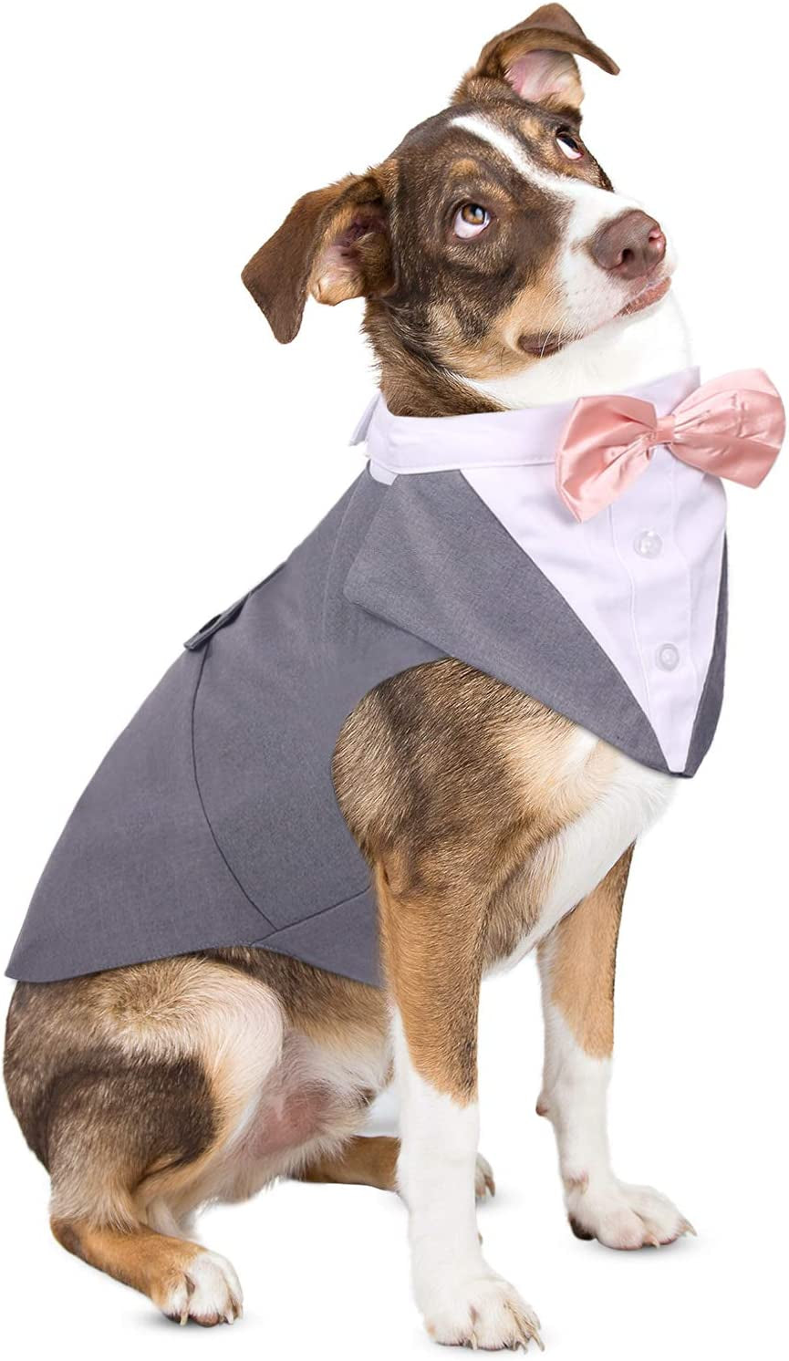 ASENKU Dog Tuxedo, Dog Wedding Shirt Halloween Costume Outfit with Detachable Bandana Bow Tie for Small Middle Large Dogs, Classic Black, XXL Animals & Pet Supplies > Pet Supplies > Dog Supplies > Dog Apparel ASENKU Grey XX-Large 