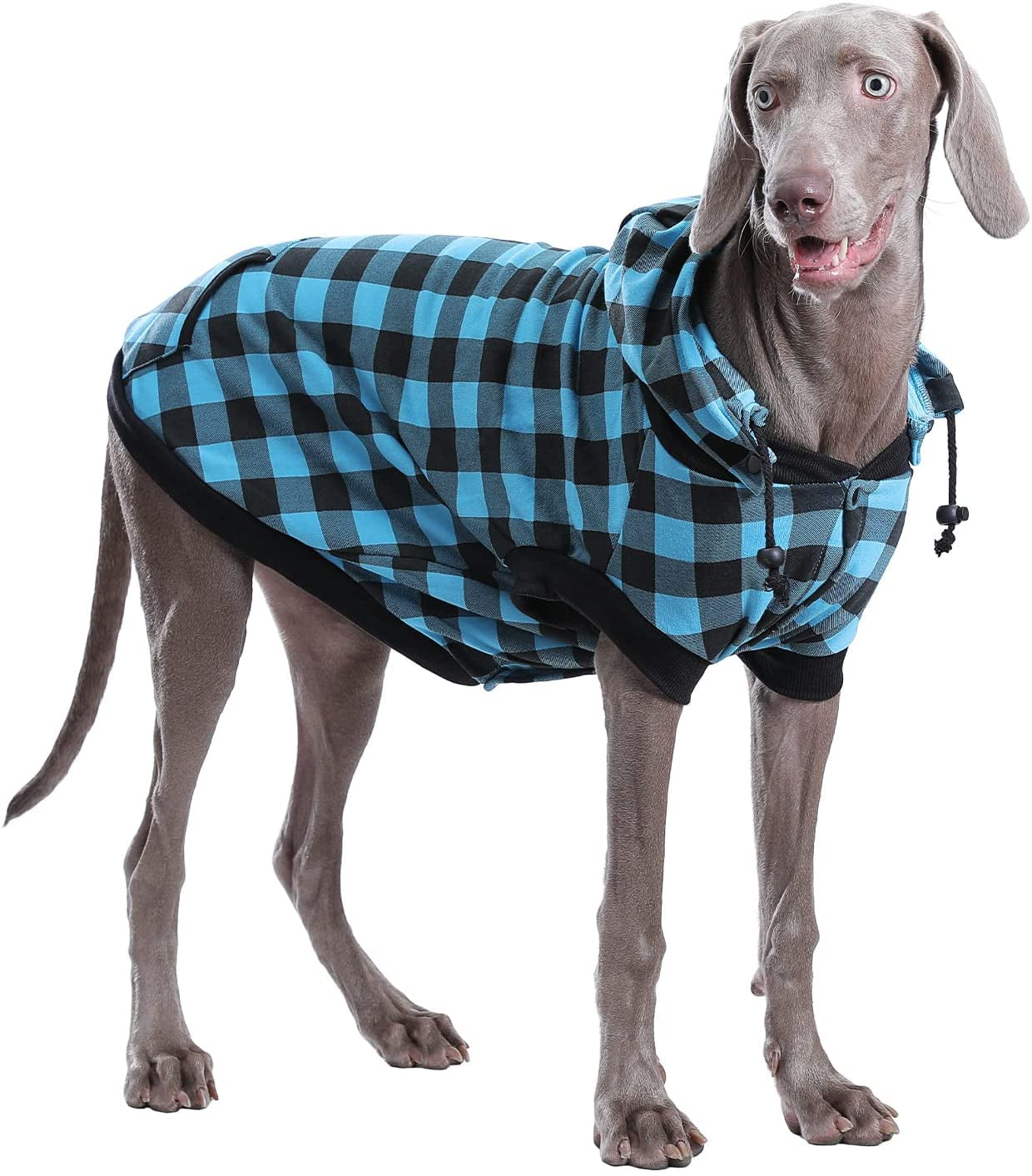 PAWZ Road Dog Coat Plaid Dog Sweater British Style Dog Vest Windproof Dog Jacket Dog Winter Clothes for Small Medium Large Dogs from Size S to 3Xlarge-Green Plaid S Animals & Pet Supplies > Pet Supplies > Dog Supplies > Dog Apparel PAWZ Road Blue 3XL: (Back Length25.6" Chest 39.4") 