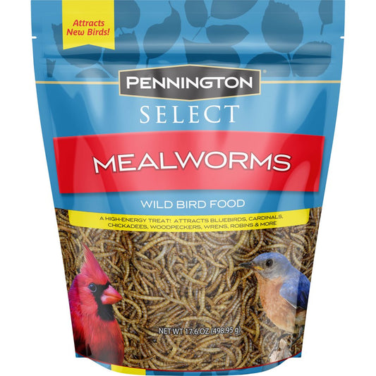 Pennington Mealworms, Wild Bird Food, 17.6 Oz. Bag Animals & Pet Supplies > Pet Supplies > Bird Supplies > Bird Food Central Garden & Pet 17.6 oz  