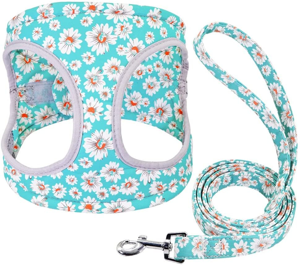 SXNBH Reflective Dog Harness Soft Mesh Pet Puppy Harness Leash Set Fashion Printed Small Medium Dogs Vest Harnesses French Bulldog ( Color : E , Size : Small ) Animals & Pet Supplies > Pet Supplies > Dog Supplies > Dog Apparel chuju   