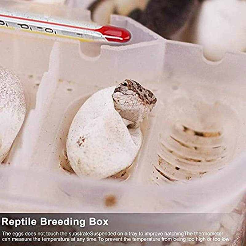 Reptile Egg Breeding Hatchery Box Transparent Plastic Amphibian Hatching Box Case Tray Breeding Incubator Hatching Tray for Snake Lizards Reptiles with Thermometer Animals & Pet Supplies > Pet Supplies > Reptile & Amphibian Supplies > Reptile & Amphibian Substrates Invento   