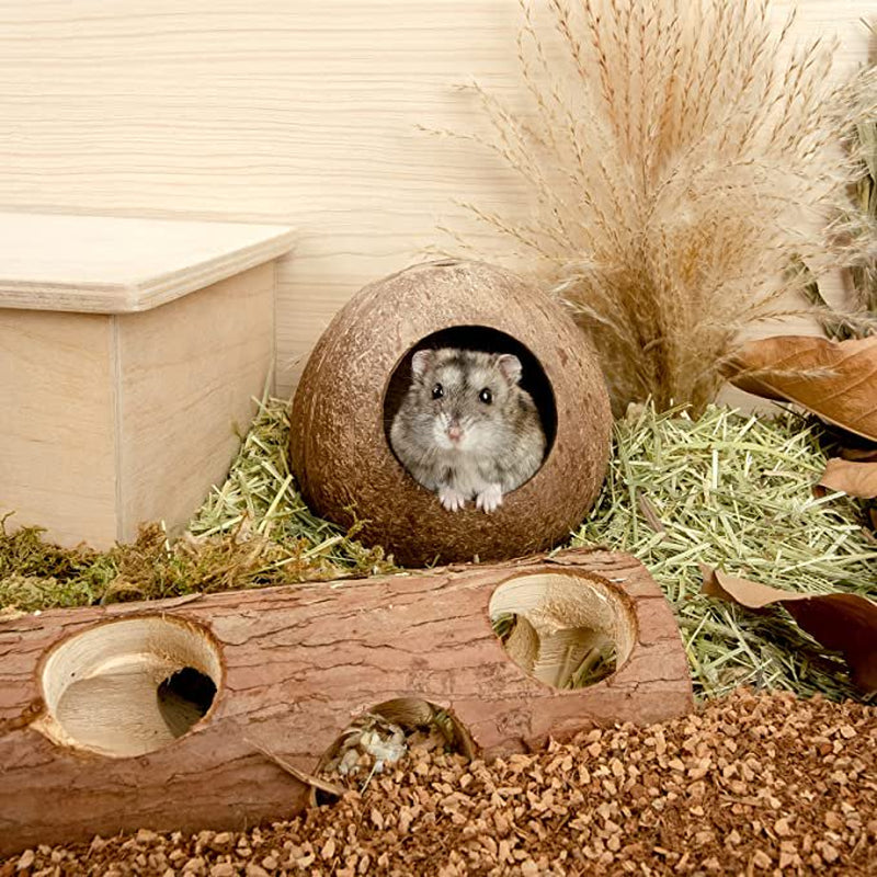 HKJF Coconut Hut Hamster House Bed for Gerbils Mice Small Animal Cage Habitat Decor Animals & Pet Supplies > Pet Supplies > Small Animal Supplies > Small Animal Habitats & Cages HKJF   