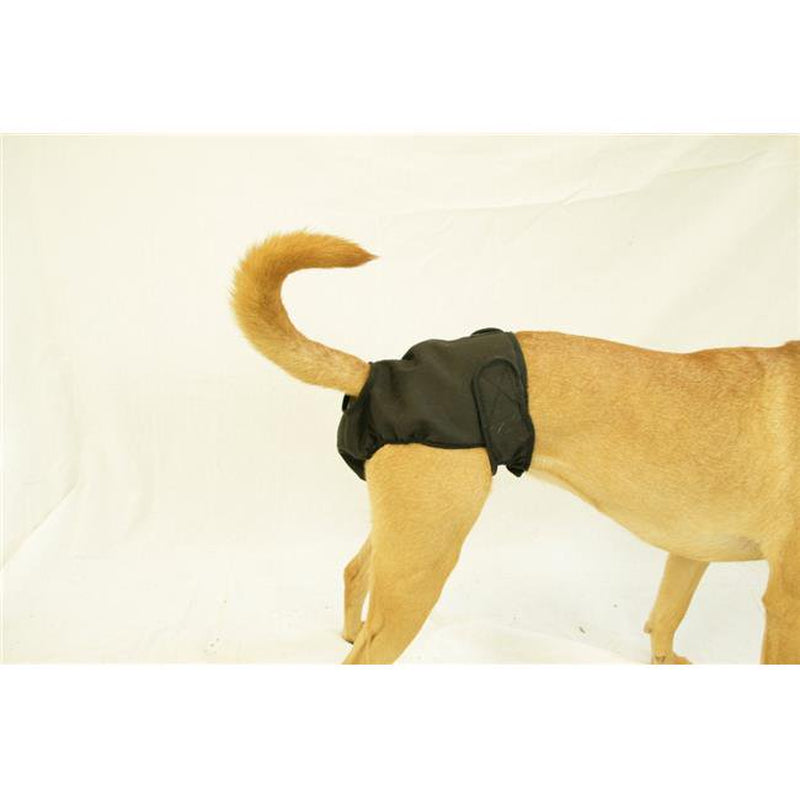 Seasonals 41114BLK Washable Female Dog Diaper&#44; Black - Large Animals & Pet Supplies > Pet Supplies > Dog Supplies > Dog Diaper Pads & Liners Seasonals   