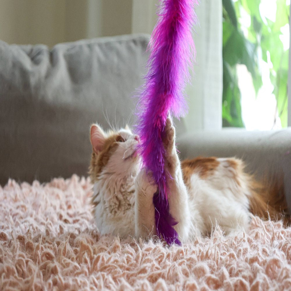 Vibrant Life Feather Wand Cat Toy Animals & Pet Supplies > Pet Supplies > Cat Supplies > Cat Toys Multipet   