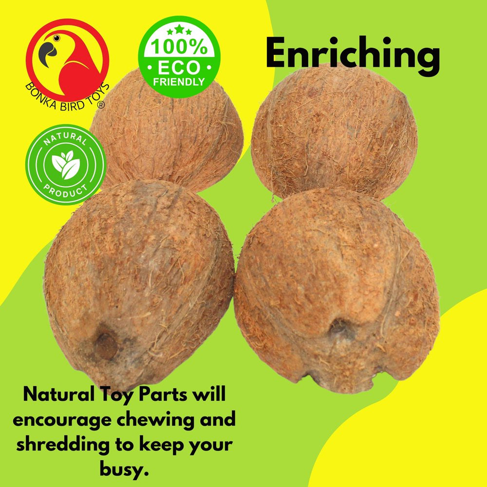 Bonka Bird Toys Pack 4 Coconut 1/2 Shell with Fiber Animals & Pet Supplies > Pet Supplies > Bird Supplies > Bird Toys Bonka Bird Toys   